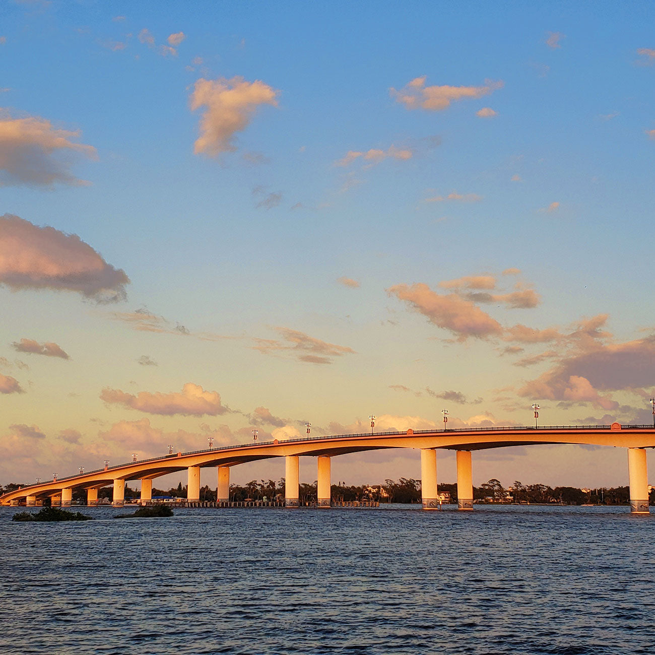 Bridge the New Year!
