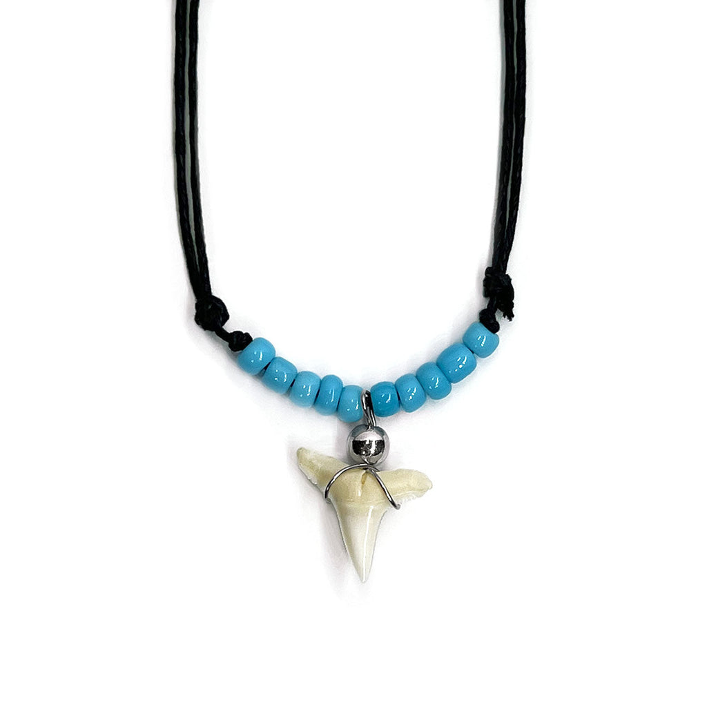 Blue Shark Tooth Necklace with real tooth, ocean beads and black cotton cord