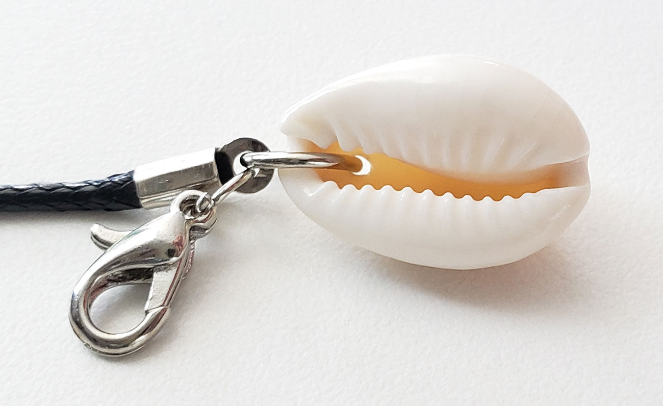 Shell We?