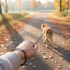 First-person view of someone walking a golden dog down a tree-lined fall path, hand holding the leash while wearing a brown 67 bracelet from O Yeah Gifts, everyday dog walk scene with subtle 6-7 meme bracelet and six seven meme accessory, gen alpha 6-7 jewelry that fits the brain rot aesthetic without breaking school rules, 67 trend bracelet and IYKYK accessory, six seven funny gift and 6-7 meme merchandise that doubles as a school safe bracelet and friendship bracelet gift.