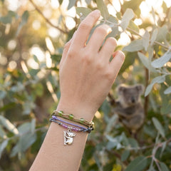 Koala Bracelet Style Pack