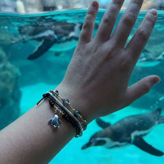 Penguin Bracelet Style Pack