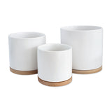 White Ceramic Planters & Bamboo Saucers - 3 Piece Set