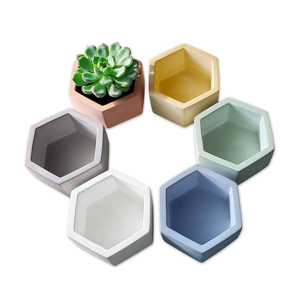 NEW COLORS Hexagon Cement Planters - O Yeah Gifts!