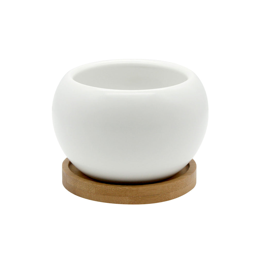 Planter & Bamboo Saucer - White | O Yeah Gifts!